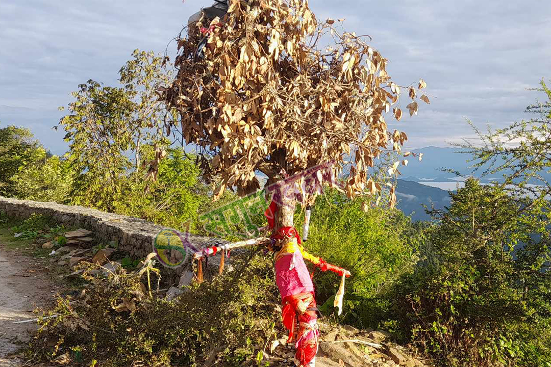 सुदूरपश्चिममा ‘बुढी पोल्ने’ पर्व मनाइँदै