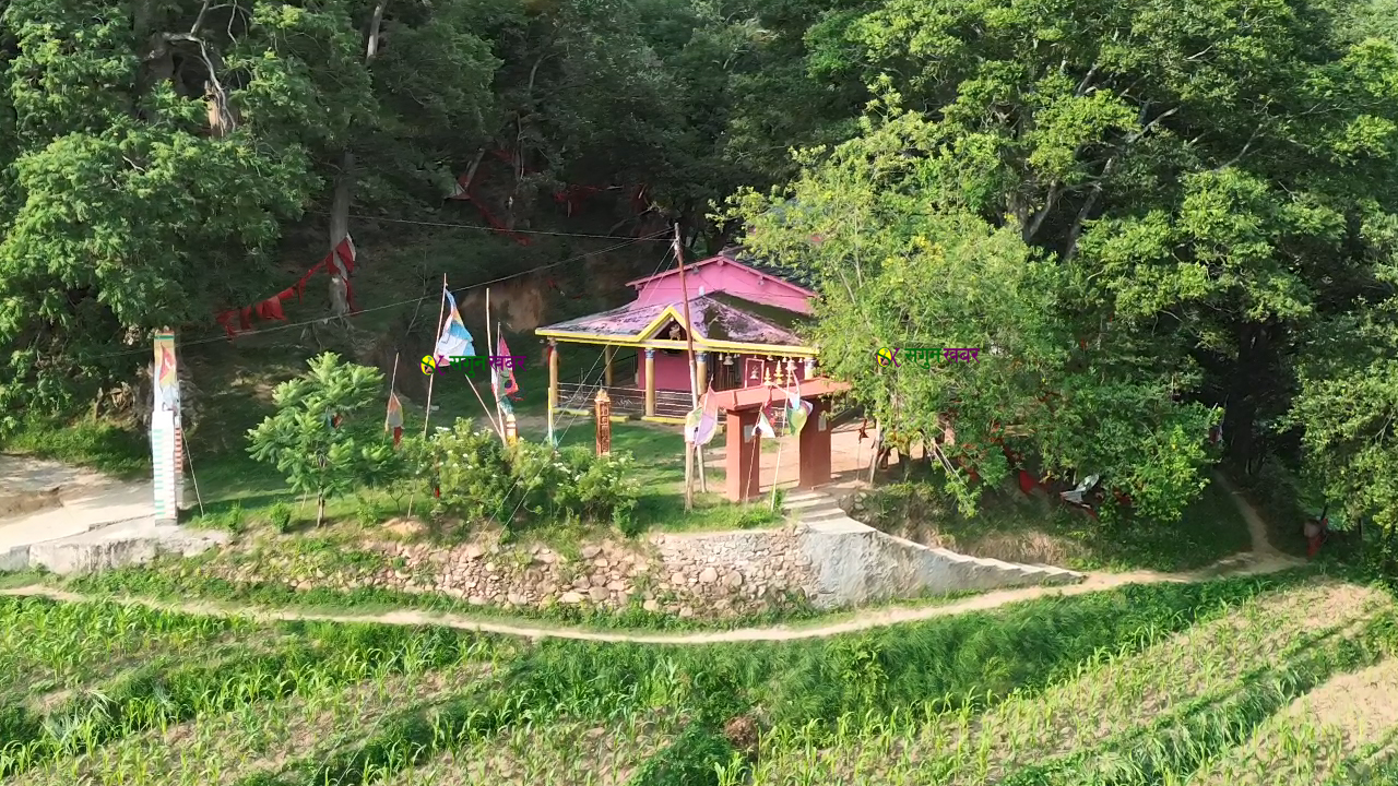 फाल्ङ्गा सैनी भगवती मन्दिरको बलिबारे भ्रममा नपर्न मन्दिर समितिको आग्रह, पुराना विधि अनुसार नै जात्रा हुने