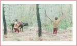 बैतडीमा गोरुलाई मरासन्न हुने गरी कुटपिट गरेर भिरबाट फाल्ने एक नाबालक पक्राउ