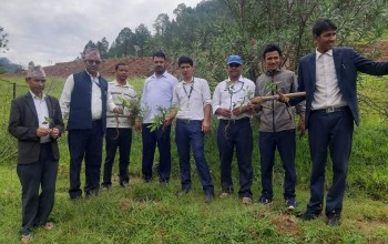 बैतडीमा निजामति सेवा दिवसको अवसरमा वृक्षारोपण 