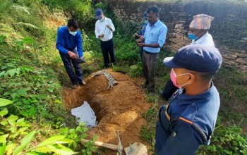 बैतडीमा चितुवाको बच्चा मृत फेला पर्यो 