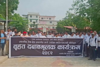 स्थानीय सेवा ऐन ल्याउन माग गर्दै मुख्यमन्त्री कार्यालय अगाडि कर्मचारीको धर्ना