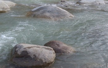 कैलालीमा नदीमा डुबेर एक किशोरीको मृत्यु 