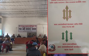 पाटन नगरपालिकाले पारित गर्यो आप्रवासी कामदार लक्षित कार्यक्रम र बीमा सम्बन्धि कार्यविधि 
