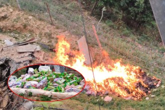 बैतडीमा भन्सार छलेर ल्याएको अखाद्य सामग्री नष्ट गरियो 