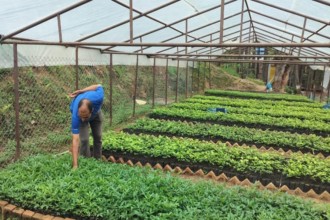 वन कार्यालयको नर्सरीमा ७५ हजार बिरुवा उत्पादन 