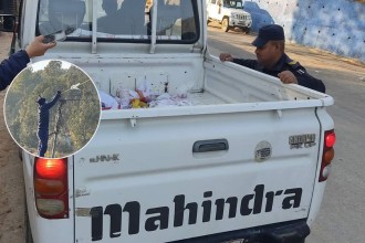 बैतडीमा सुरक्षाकर्मीले हटाए प्रचार सामग्री 