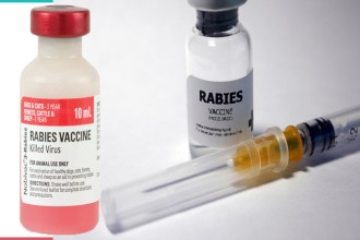 बैतडीमा रेबिजविरुद्ध खोपको अभाव