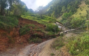 पहिरोले बैतडीका अधिकांश ग्रामीण सडक अवरुद्ध 