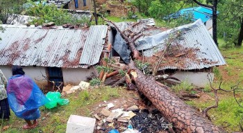 सल्लाको रुख ढल्दा सकार स्वास्थ्यचौकी भवनमा क्षति 
