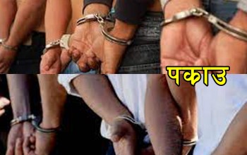 डडेल्धुरामा विभिन्न मुद्दाका १२ जना फरार अभियुक्त पक्राउ