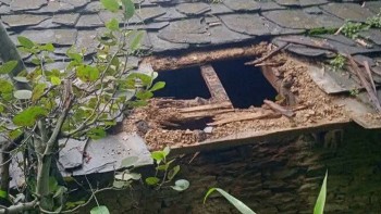 बैतडीमा चोरीको आरोपमा नगरकार्यपालिका सदस्यसहित चार जना पक्राउ