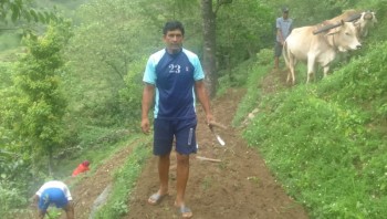 विप्लव नेतृत्वको नेकपाले बैतडीमा शुरु गर्यो सामूहिक कोदो खेती 