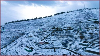 आन्तरिक पर्यटनको गन्तव्य बन्दै बागवानी विकास केन्द्र, बैतडी