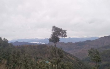 आज चार वटा प्रदेशमा मेघगर्जन र चटयाङ्गसहित हल्का वर्षाको सम्भावना