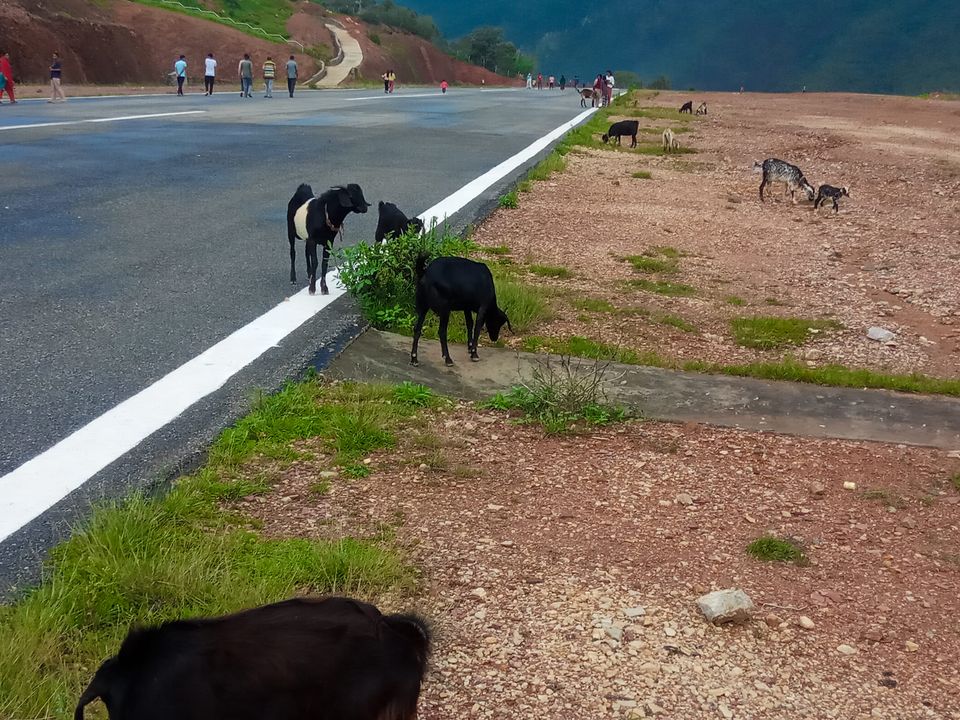 बैतडीमा डेढ वर्षदेखि हवाई सेवा  बन्द , एयरपोर्टमा बाख्रा चर्न थाले