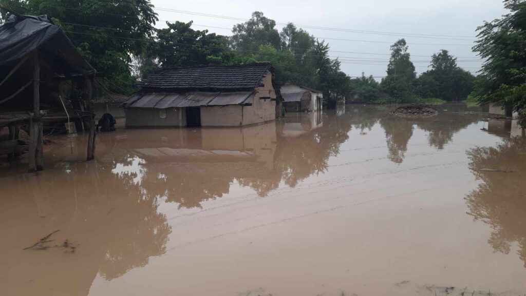 कञ्चनपुरका १०० बढी घरमा पस्यो पानी