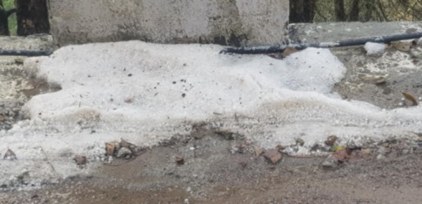 बैतडीमा असिना पानीले तरकारी र गहुँ बालीमा ब्यापक क्षती