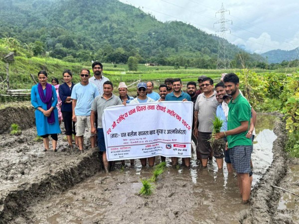 बैतडीको गोकुलेश्वरमा धान दिवस मनाइयो, बैतडीमा ६५ प्रतिशत रोपाइँ सम्पन्न 
