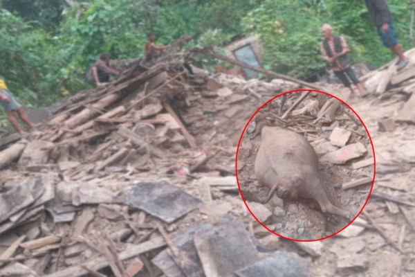 बैतडीमा पहिरोले एक घर पुरियो