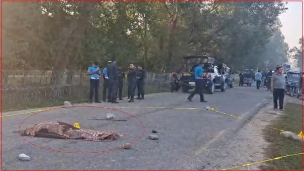 गोदावरीमा बसको ठक्करबाट वृद्धाको मृत्यु