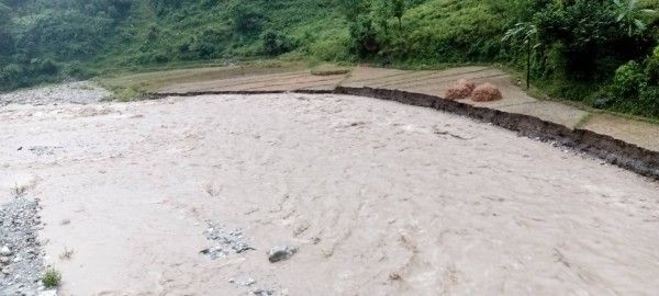 बैतडीमा धान सहितको खेती योग्य जमिन बाढीले बगायो, किसान चिन्तीत 