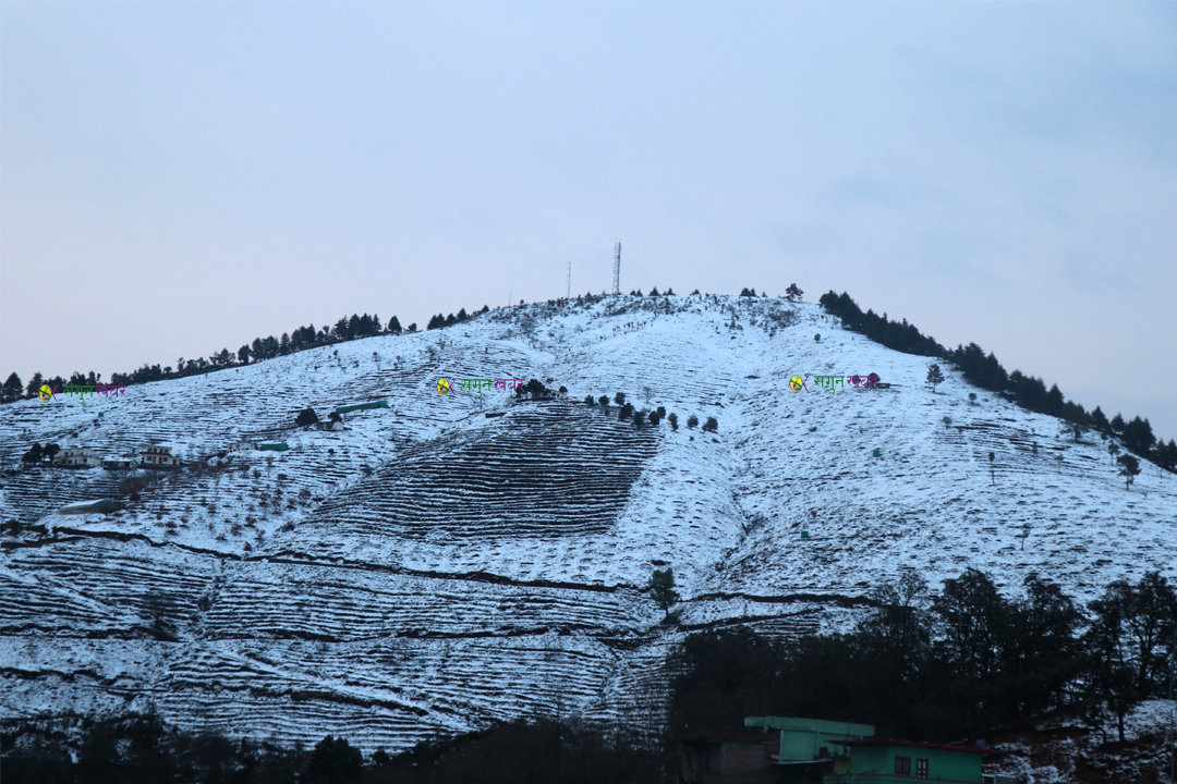 बैतडी लगायत सुदूर पहाडमा हिमपात, डाँडाकाँडा सेताम्य