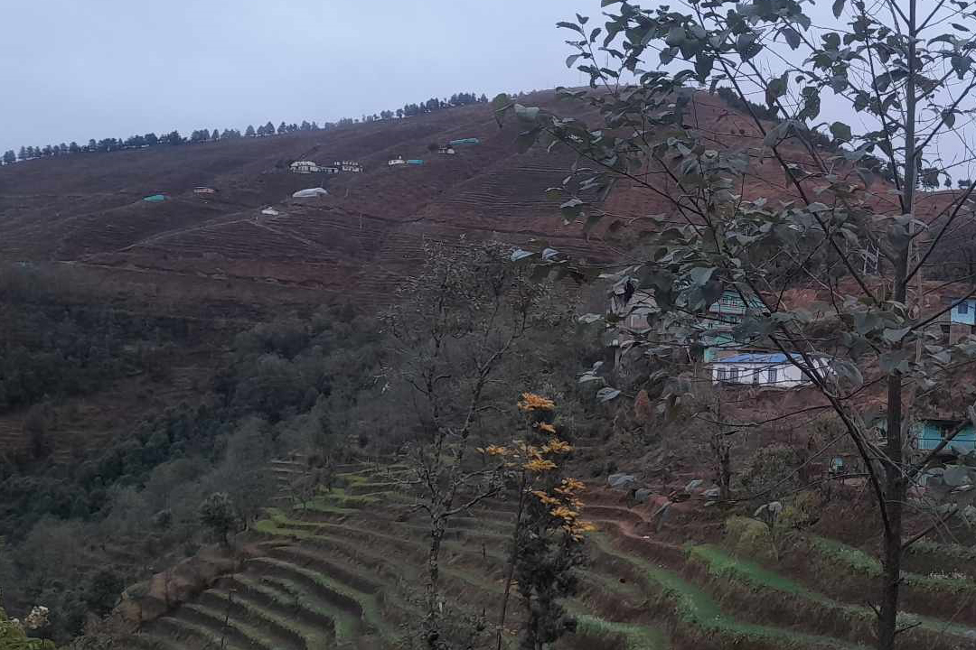 हिउँद सकिनै लाग्दा हिउँदे बर्षा, किसान खुसी