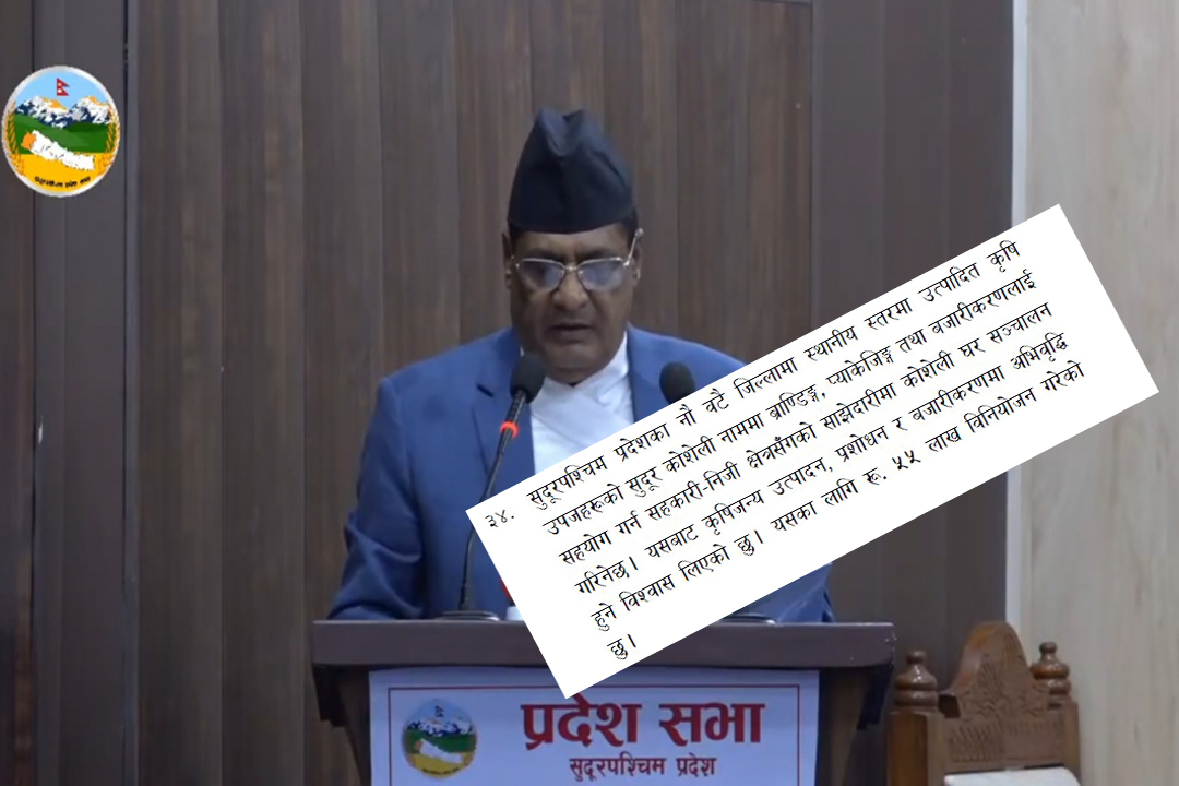 सुदूरपश्चिमका ९ ओटै जिल्लामा कोशेली घर सञ्चालन गरिने