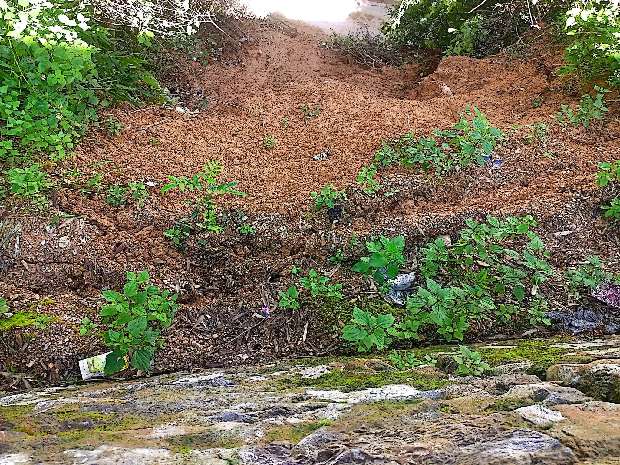दशरथचन्द माविको दुई कोठे भवन पहिरोको जोखिममा 