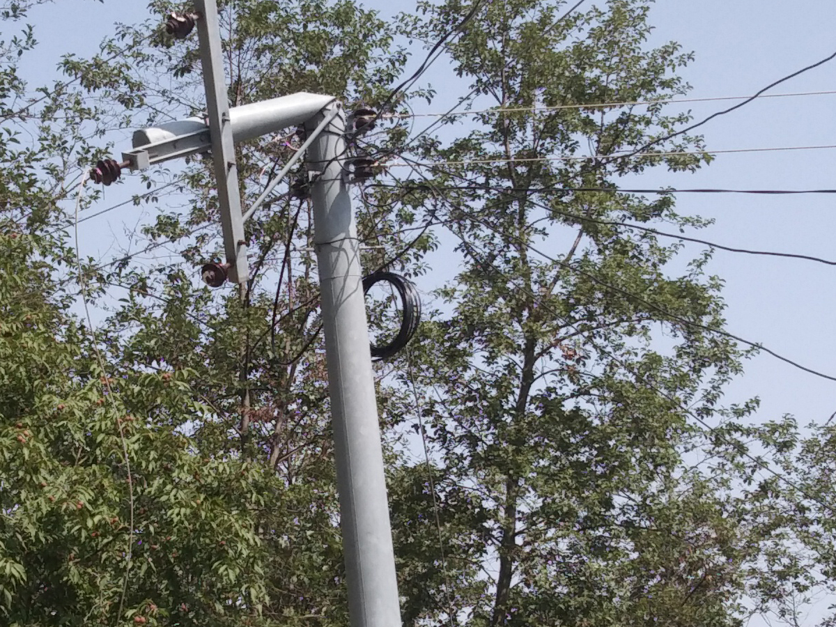 बैतडीमा समाजवादी अध्यक्षले रुख काट्दा बिजुलीको पोल भाँँचियोे, तीन दिनदेखि नागरिक अन्धकारमा