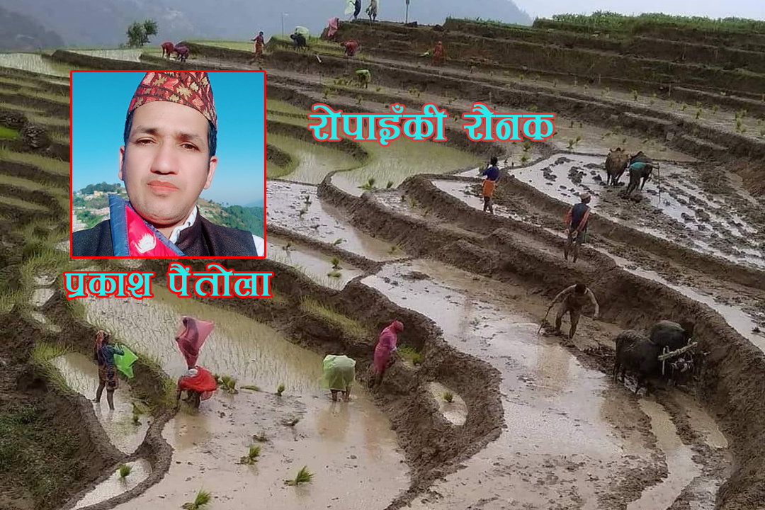 रोपाइँकी रौनक 