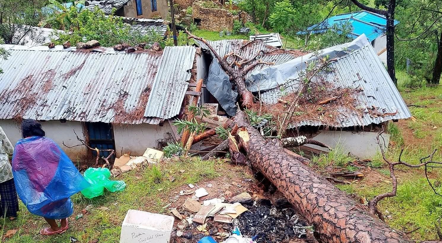 सल्लाको रुख ढल्दा सकार स्वास्थ्यचौकी भवनमा क्षति 