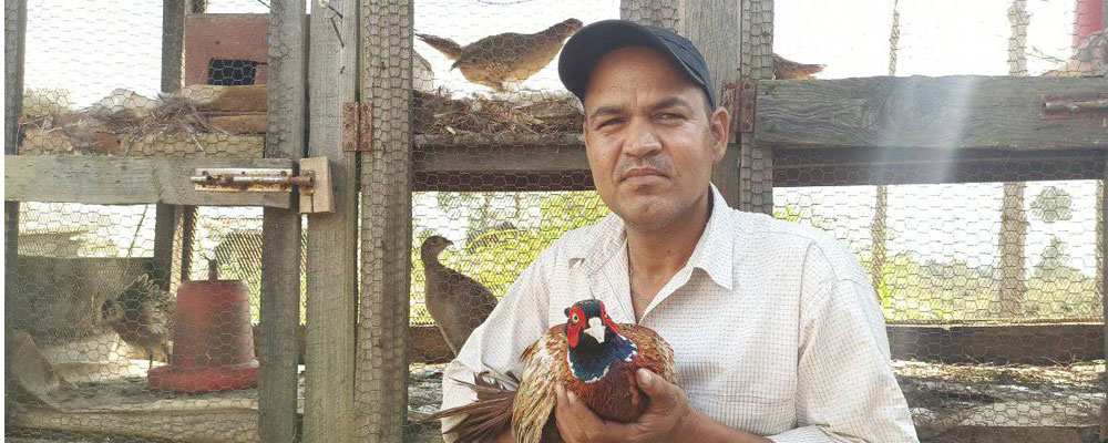 जनयुद्धमा घाइते बैतडीका दिपकको आर्थिक अभावले क्यान्सरको उपचारमा समस्या 