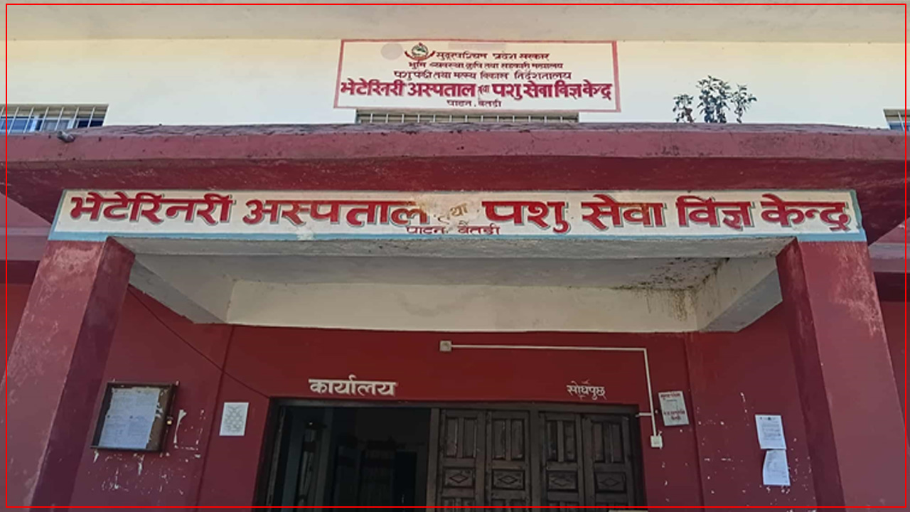 बैतडीका सबै स्थानीय तहमा खोरेत रोगविरुद्ध खोप अभियान संचालन हुने