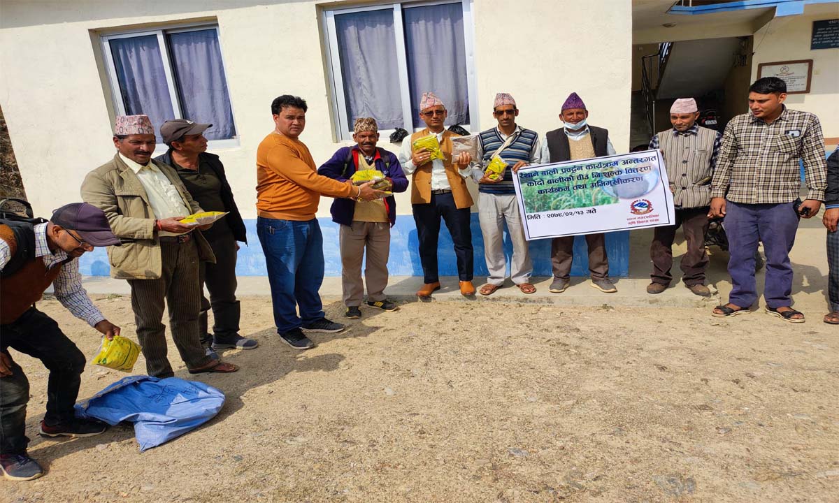 बैतडीको पाटनका  किसानहरुलाइ   कोदाको बिउ  वितरण 