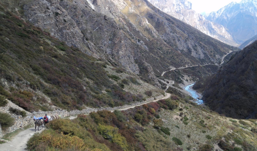 महाकाली कोरिडोरको ४५ किलोमिटर ट्रयाक खोल्न बाँकी 