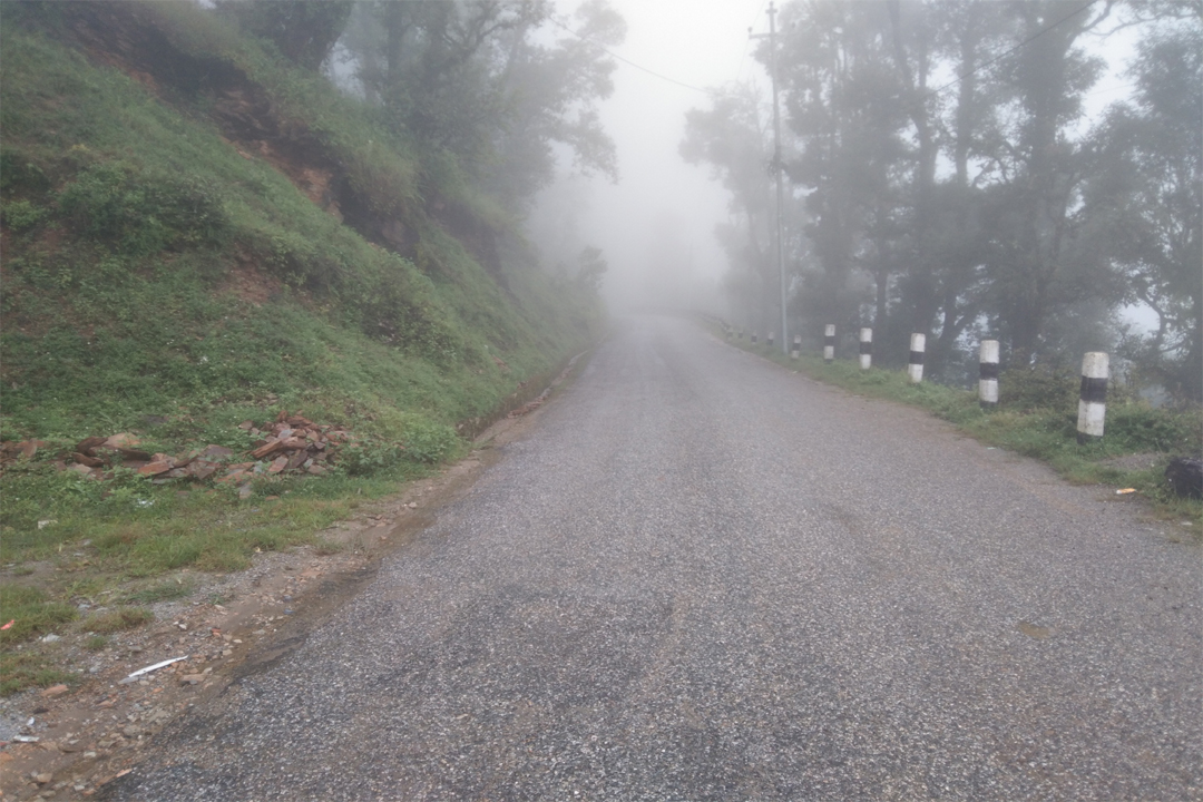 बैतडीः सडकमा रुख ढलेर अवरुद्ध  दशरथचन्द राजमार्ग खुल्यो 