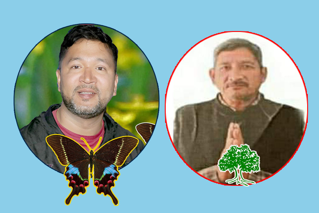 डिलाशैनीको अध्यक्षमा जोशी, एमालेबाटै विद्रोह गरेर पालिकामा मारे बाजी 