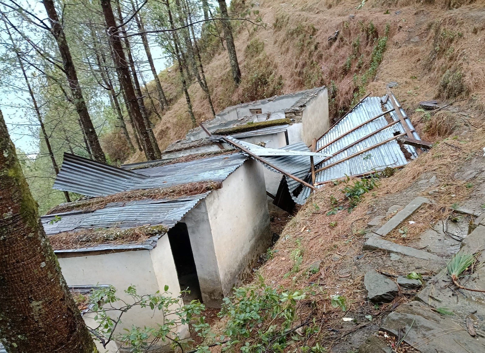 हावाहुरी र असिनासहितको बर्षाले बैतडीका विभिन्न स्थानमा क्षति, एकजना घाइते 