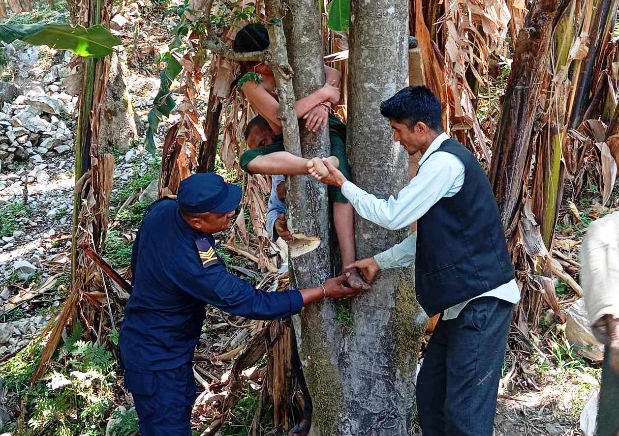 दार्चुलामा रुखको हाँगाको बीचमा अड्किएकी बालिकाको उद्धार